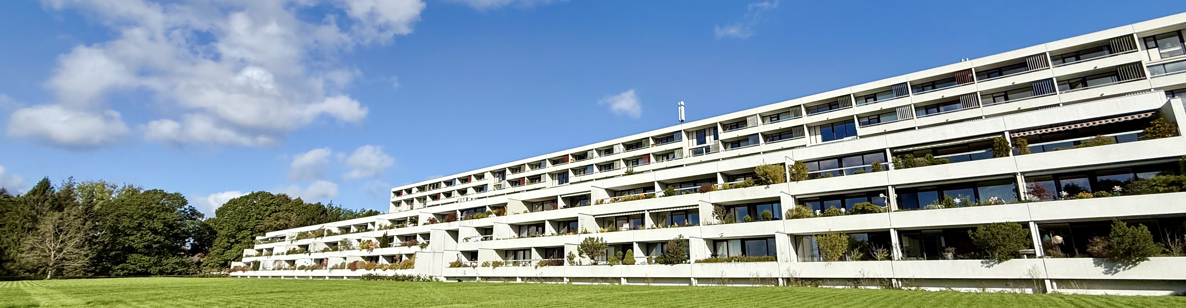 Bebyggelsen set fra fællesarealet mod syd
